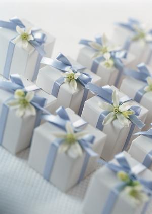 ルアーの品揃えが充実する通販ショップ