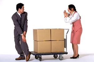 オーダーメイドのドッグフードです