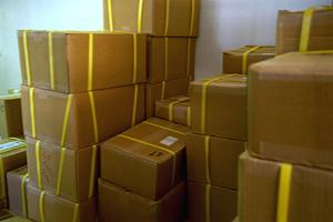 お子さんの感性を育む木のおもちゃ